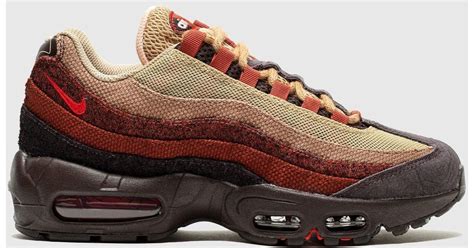 95 browns line